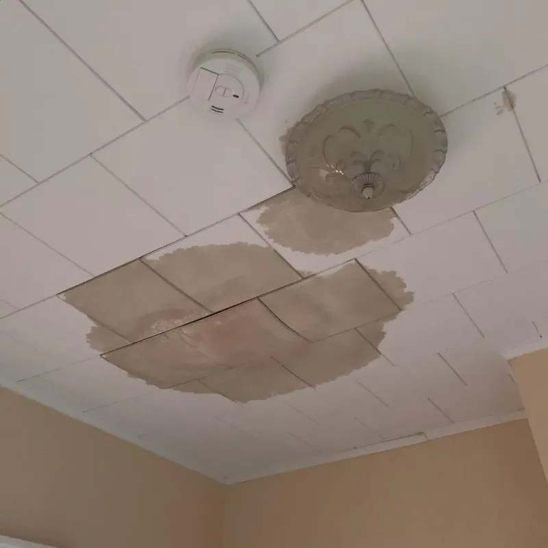 Ceiling Water Damage Repair in Richland, MS