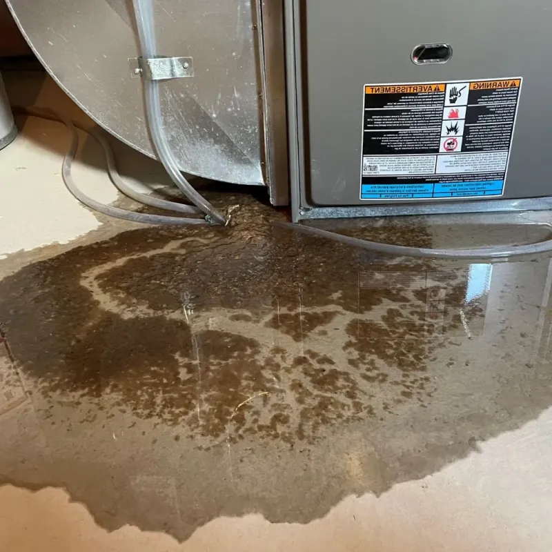 Pipe Burst and Leak Restoration in Richland, MS