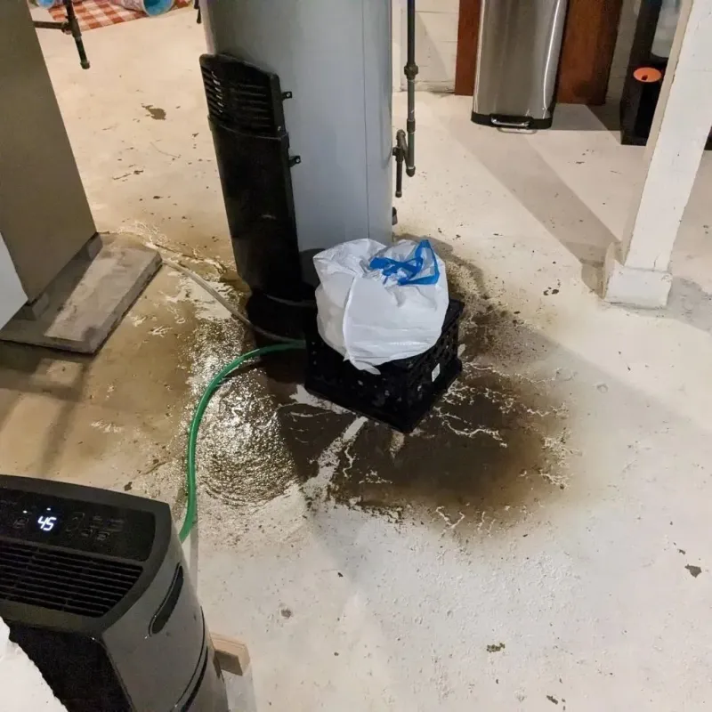 Sewage Backup Cleanup Service in Richland, MS